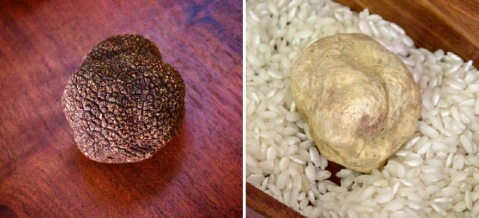 two types truffles